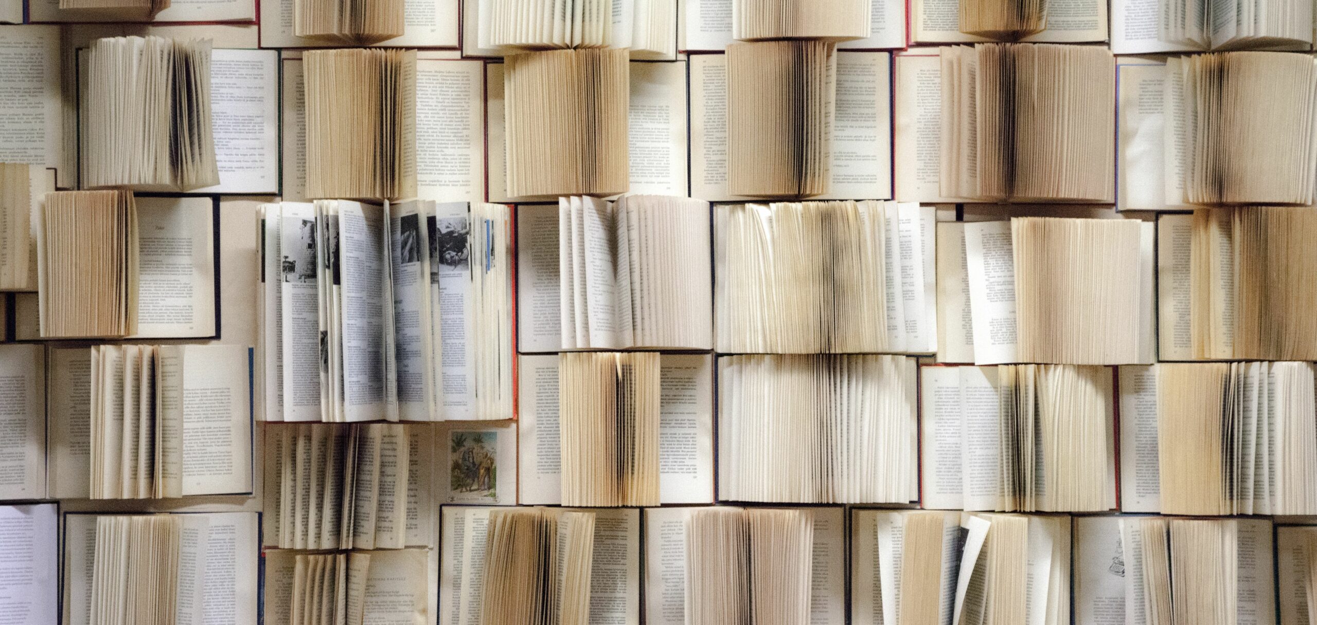 Bild mit vielen aufgeschlagenen Büchern